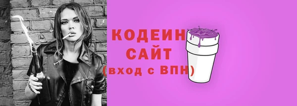 гашик Осташков
