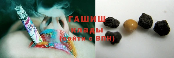 гашик Осташков