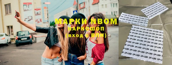гашик Осташков
