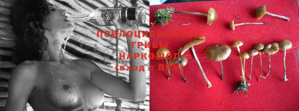 марки lsd Остров